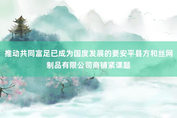 推动共同富足已成为国度发展的要安平县方和丝网制品有限公司商铺紧课题