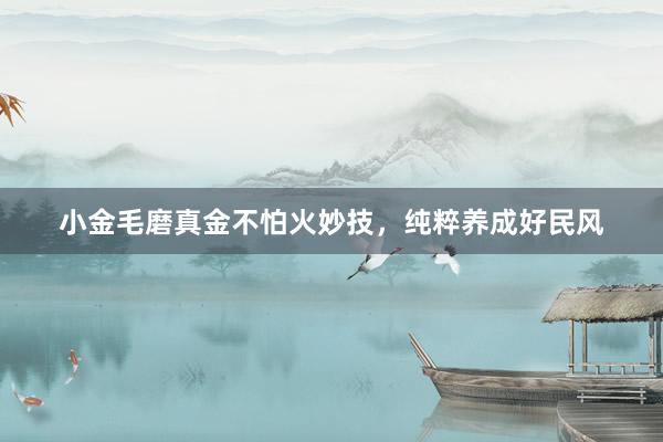 小金毛磨真金不怕火妙技，纯粹养成好民风